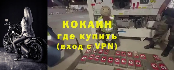 шишки Алексин