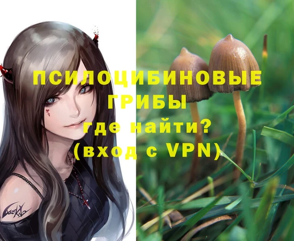 шишки Алексин