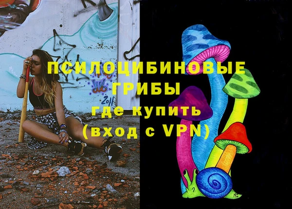 шишки Алексин