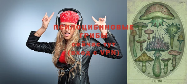spice Алексеевка