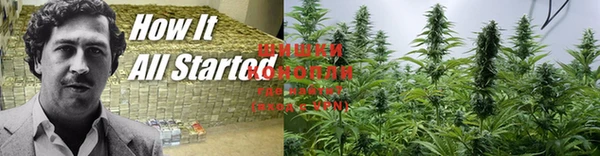 шишки Елабуга